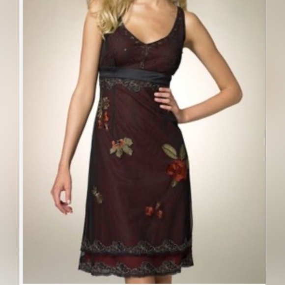 Adrianna Papell Dresses & Skirts - Adrianna Papell Elegant Floral Sheer Whimsigoth Embroidered Dress, Sz 4